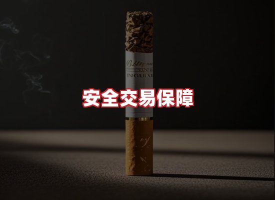 专业团队
